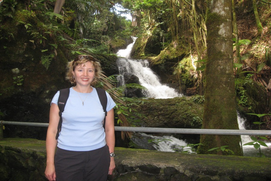 ../image/hawaii tropical botanical garden onomea falls 3.jpg